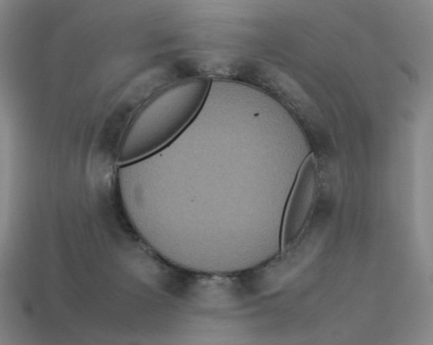 X0000113110125200909181636