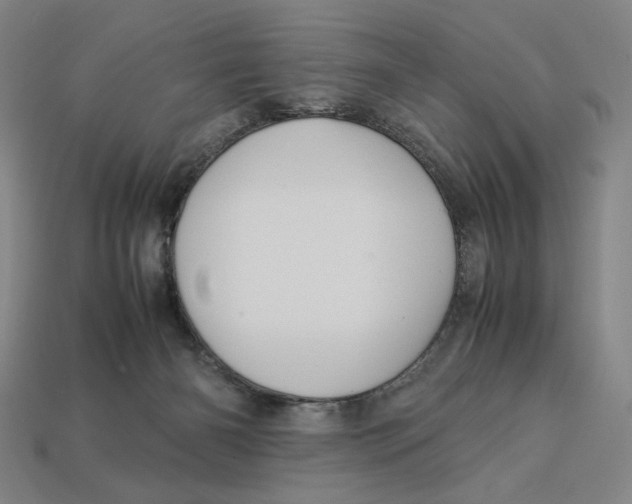 X0000113110126200909181636