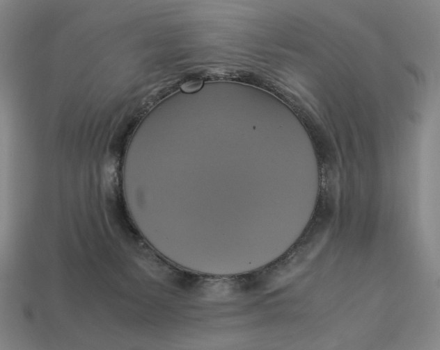 X0000113110127200909181636