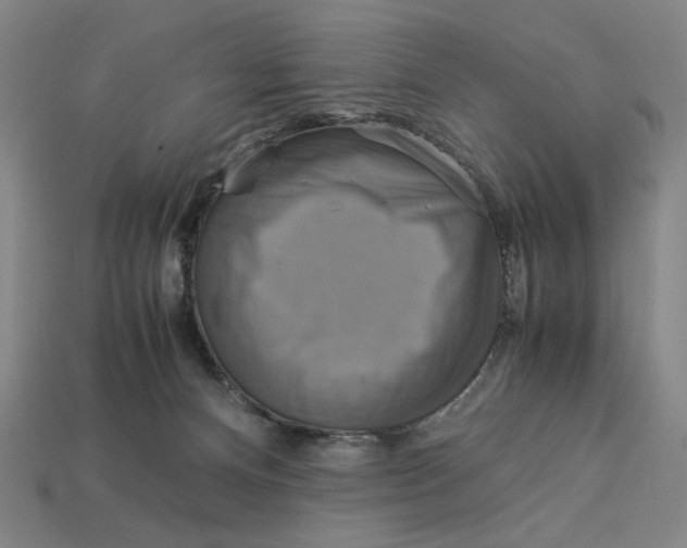 X0000113110128200909181636