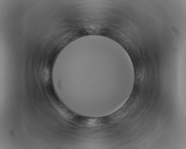 X0000113110130200909181636