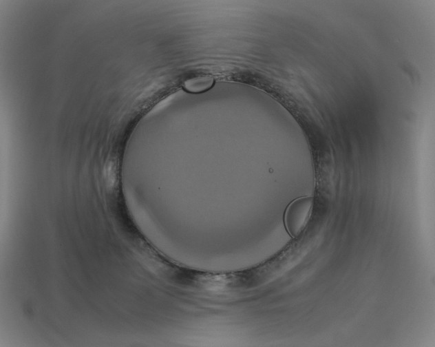 X0000113110131200909181636