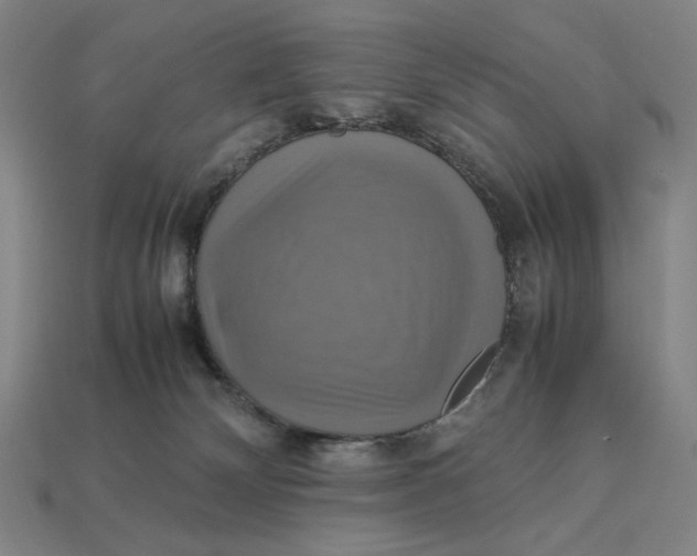 X0000113110132200909181636