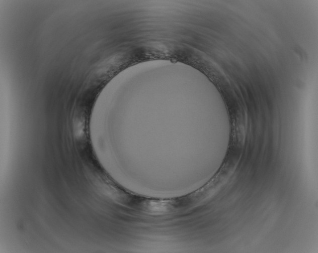 X0000113110134200909181636
