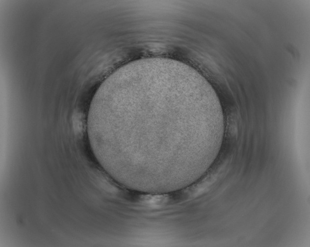 X0000113110135200909181636