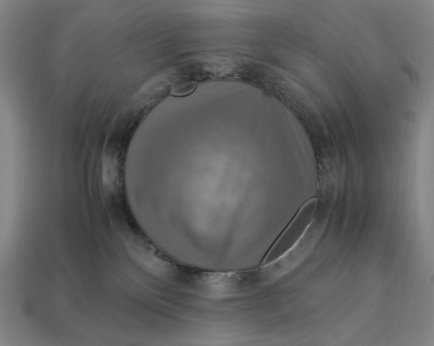 X0000113110136200909181636