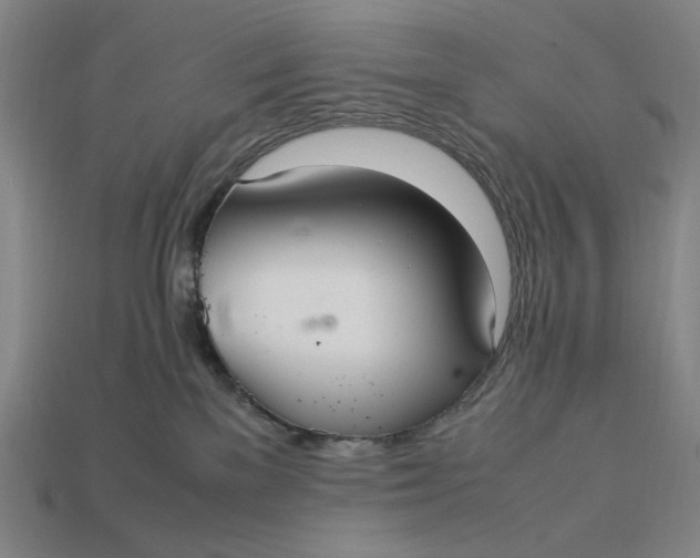 X0000113110137200909181636