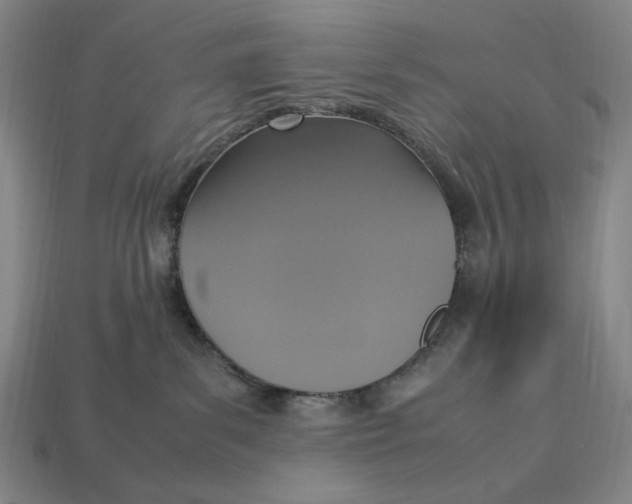 X0000113110139200909181636