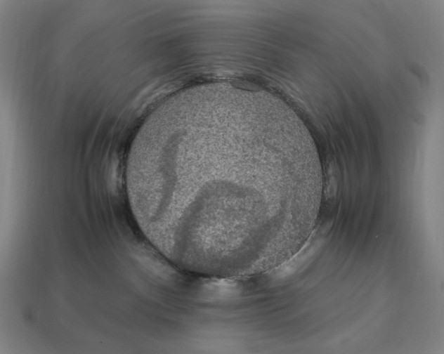 X0000113110140200909181636