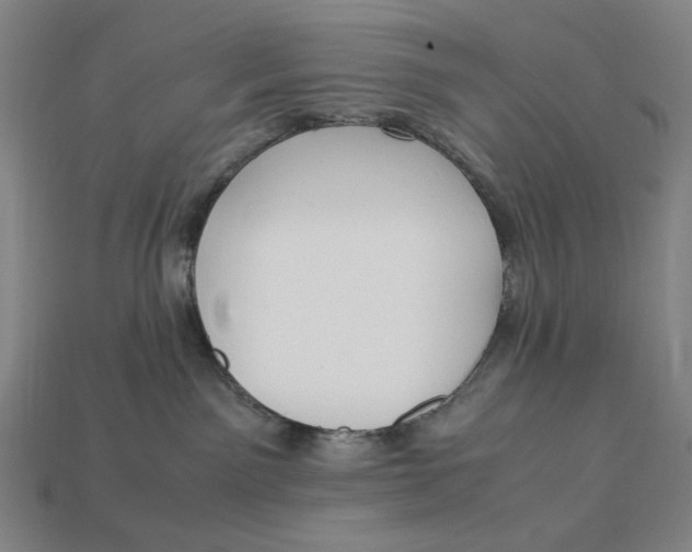 X0000113110141200909181636