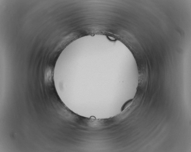 X0000113110142200909181636