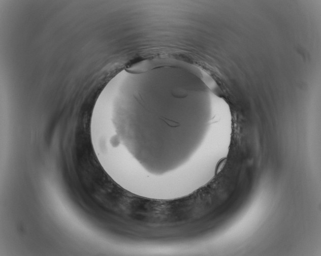 X0000113110143200909181636