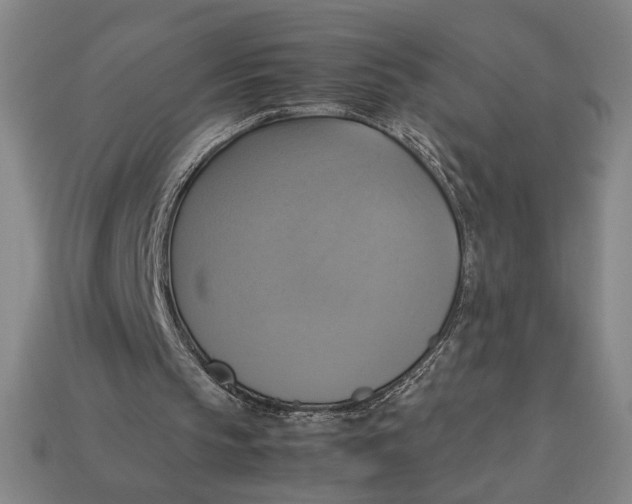 X0000113110145200909181635