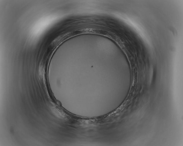 X0000113110147200909181635