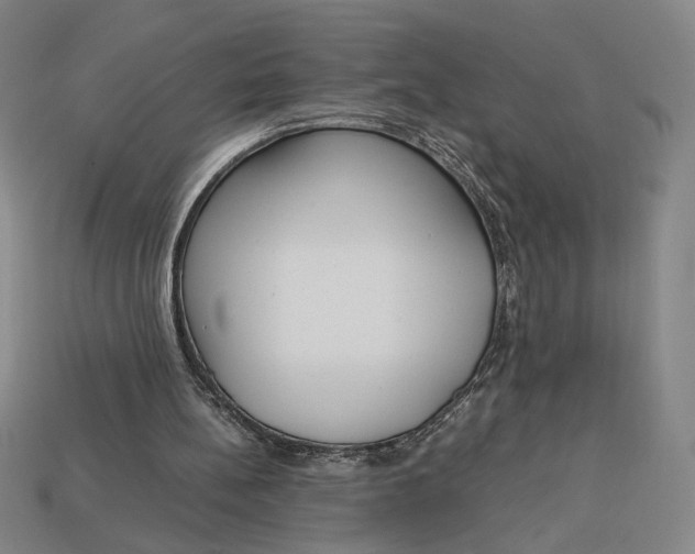 X0000113110148200909181635