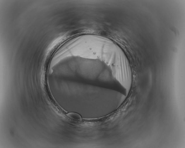 X0000113110149200909181635