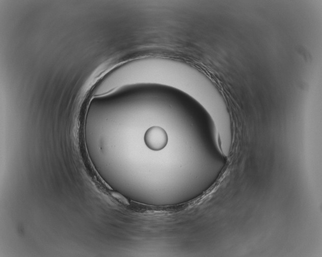 X0000113110150200909181635