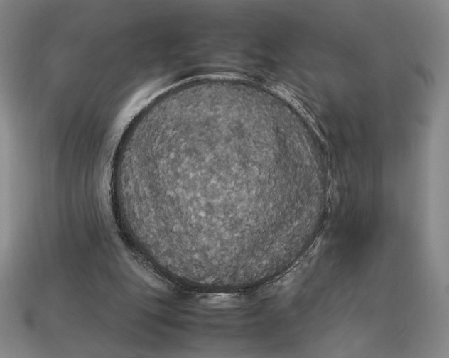 X0000113110151200909181635