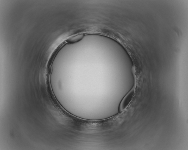 X0000113110152200909181635