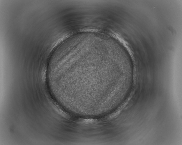 X0000113110153200909181635