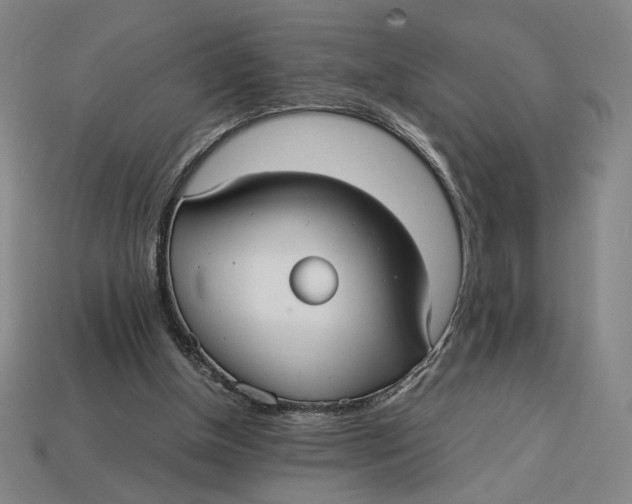 X0000113110154200909181635