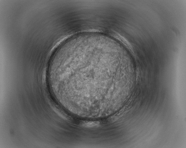 X0000113110155200909181635