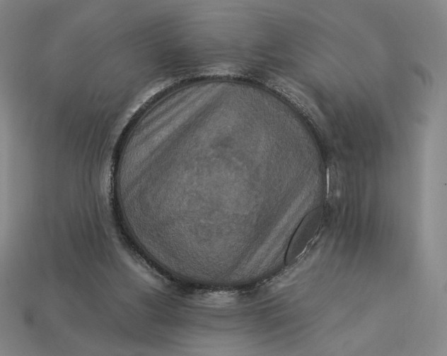 X0000113110156200909181635