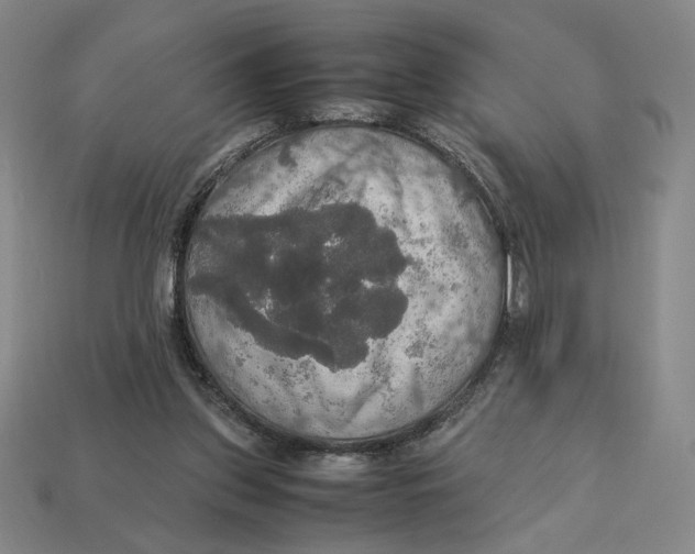 X0000113110157200909181635