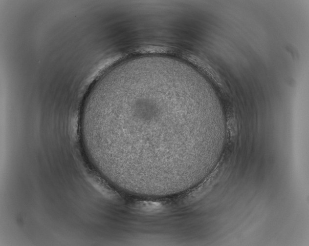 X0000113110159200909181635