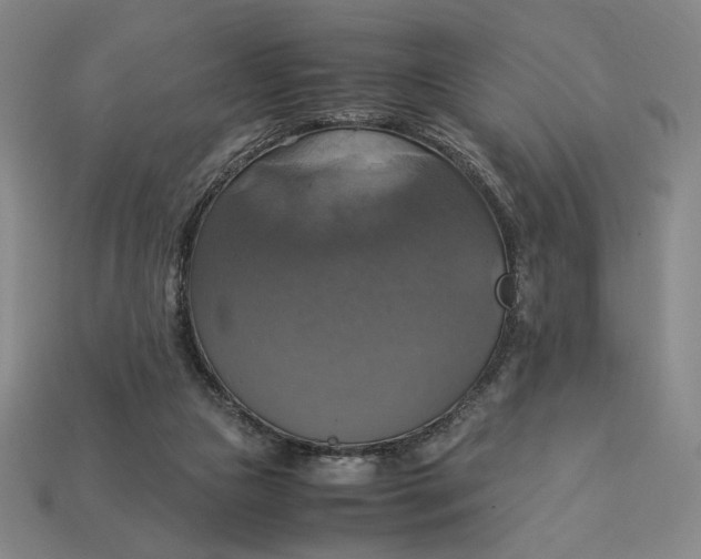 X0000113110161200909181635