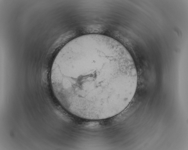 X0000113110162200909181635