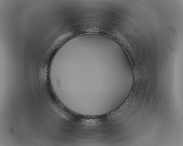 X0000113110163200909181635