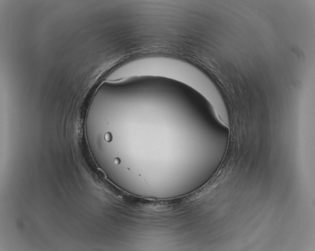 X0000113110164200909181635