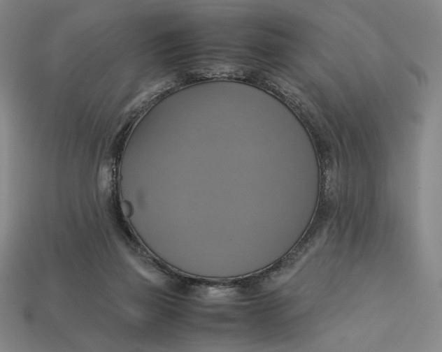 X0000113110165200909181635