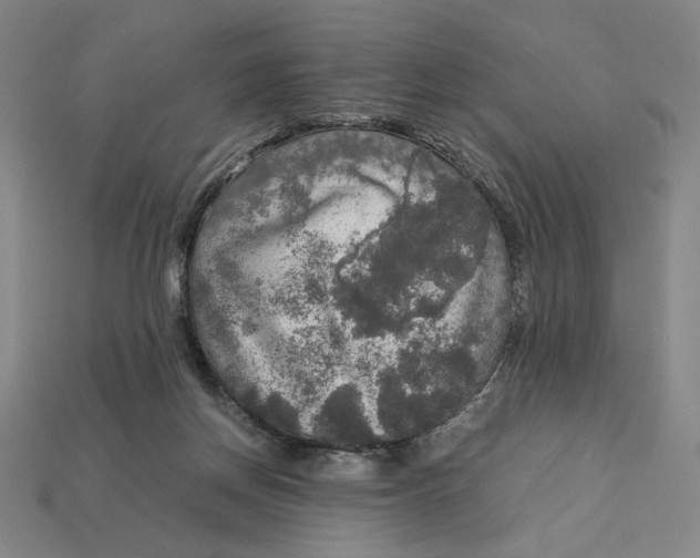X0000113110166200909181635