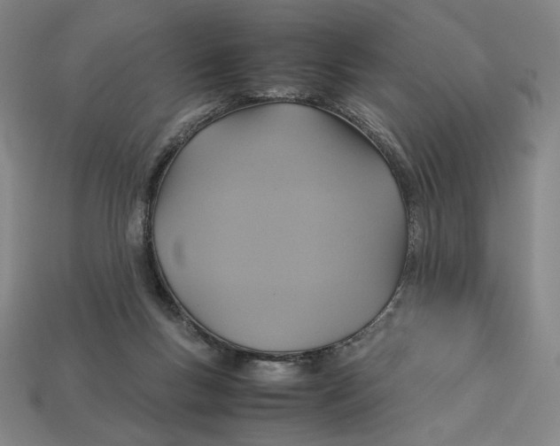 X0000113110167200909181635