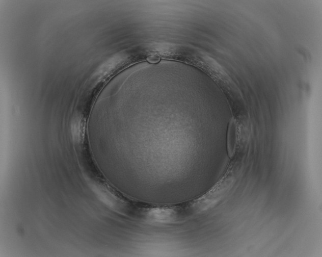 X0000113110168200909181636