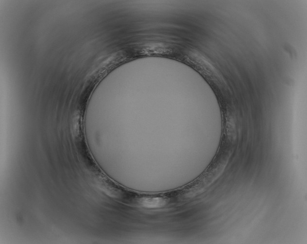 X0000113110169200909181636