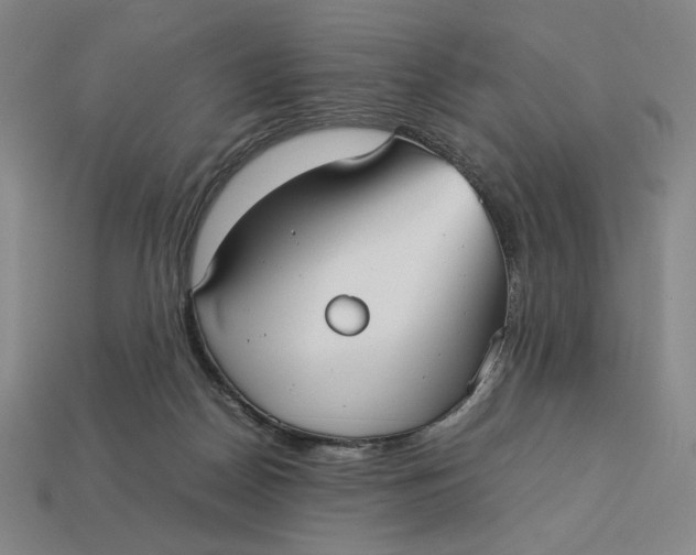 X0000113110170200909181636
