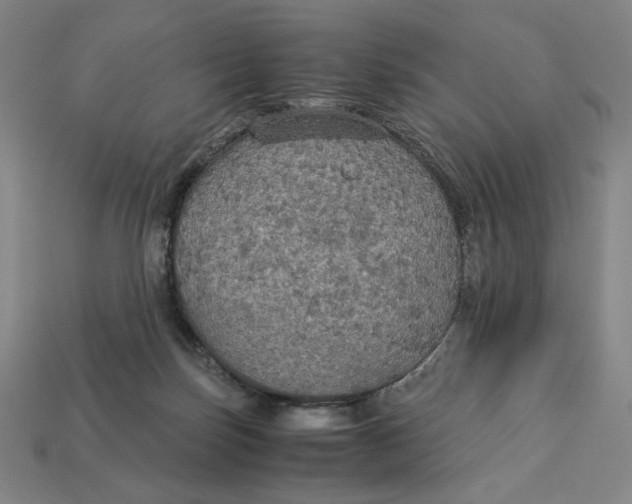 X0000113110171200909181636