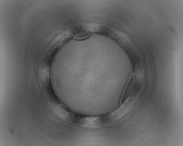 X0000113110172200909181636