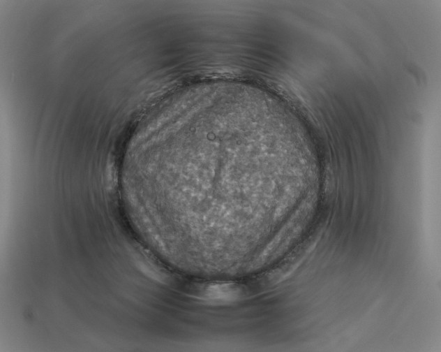 X0000113110173200909181636