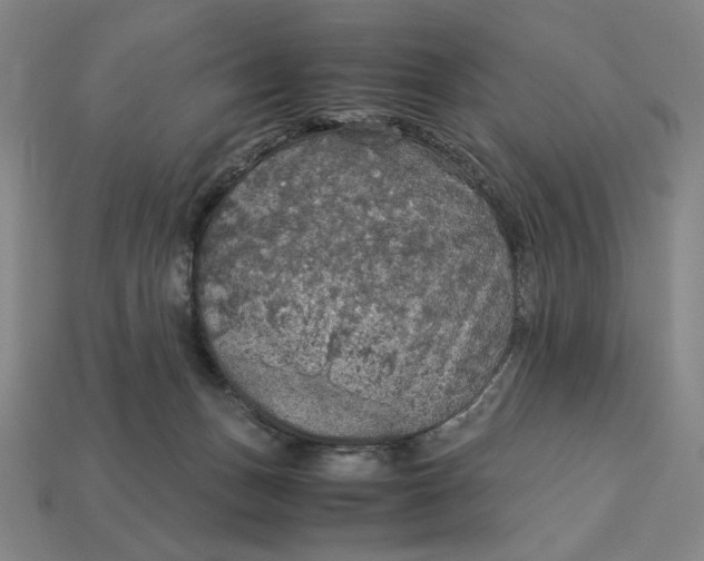 X0000113110175200909181636