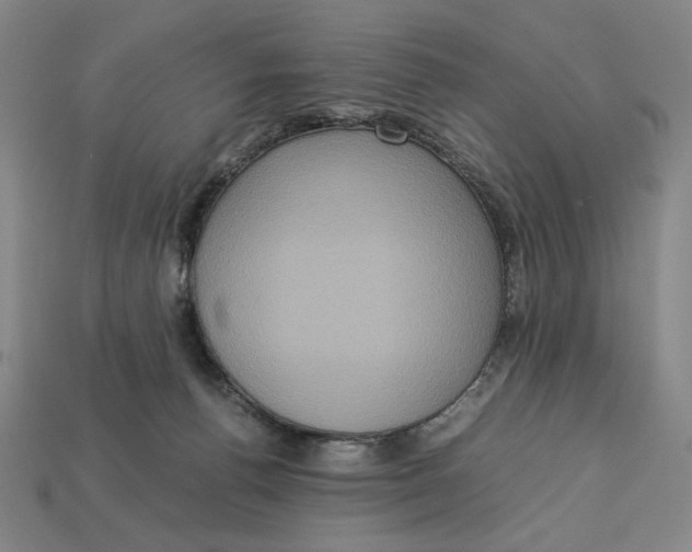 X0000113110176200909181636