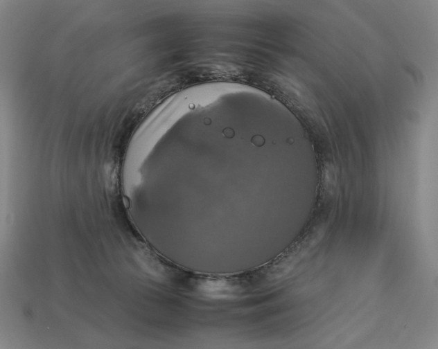 X0000113110177200909181636