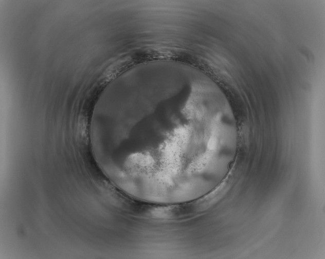X0000113110178200909181636