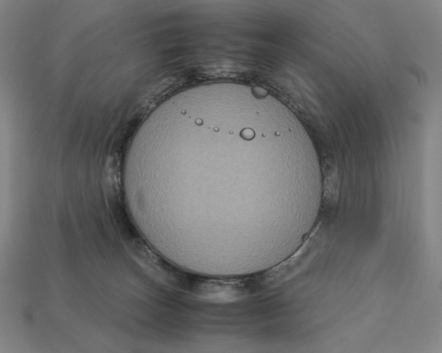 X0000113110179200909181636