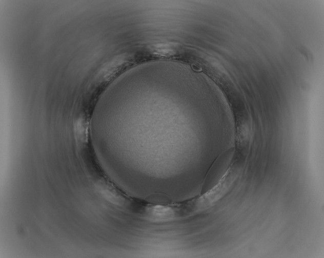 X0000113110180200909181636