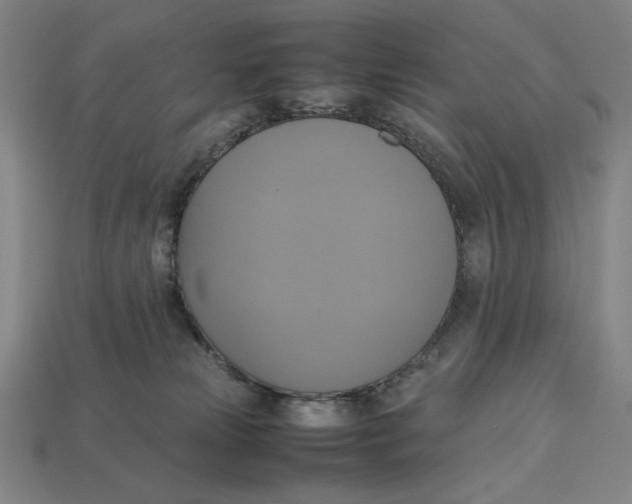 X0000113110181200909181636