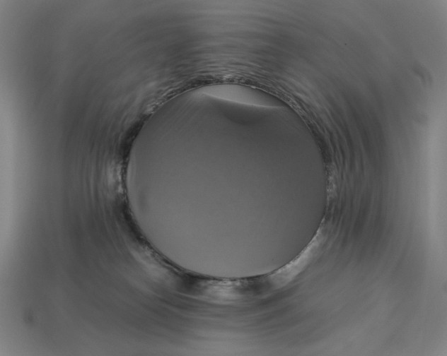 X0000113110182200909181636